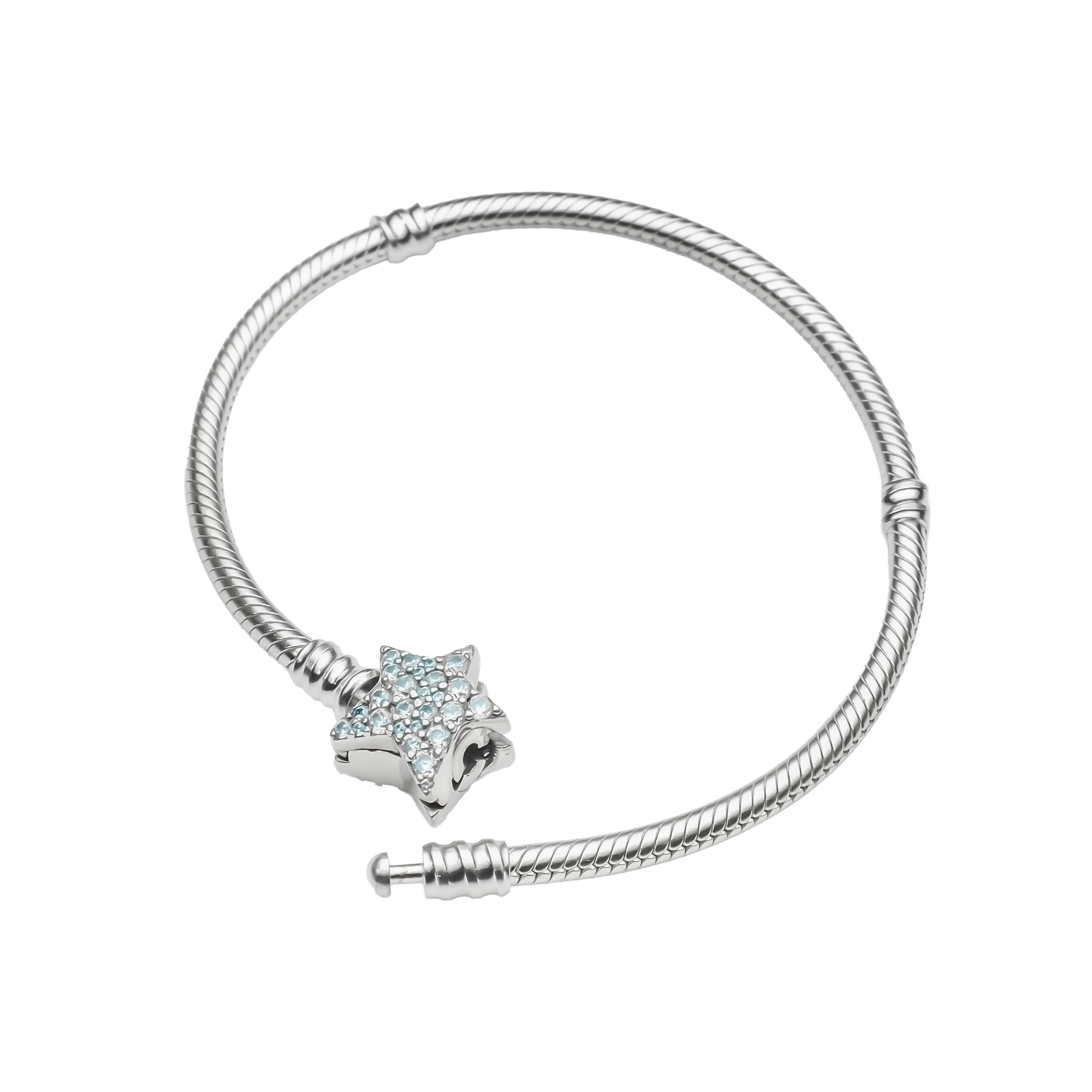 Snake Chain Charm Bracelet | 925 Silver Charm bracelets for Women