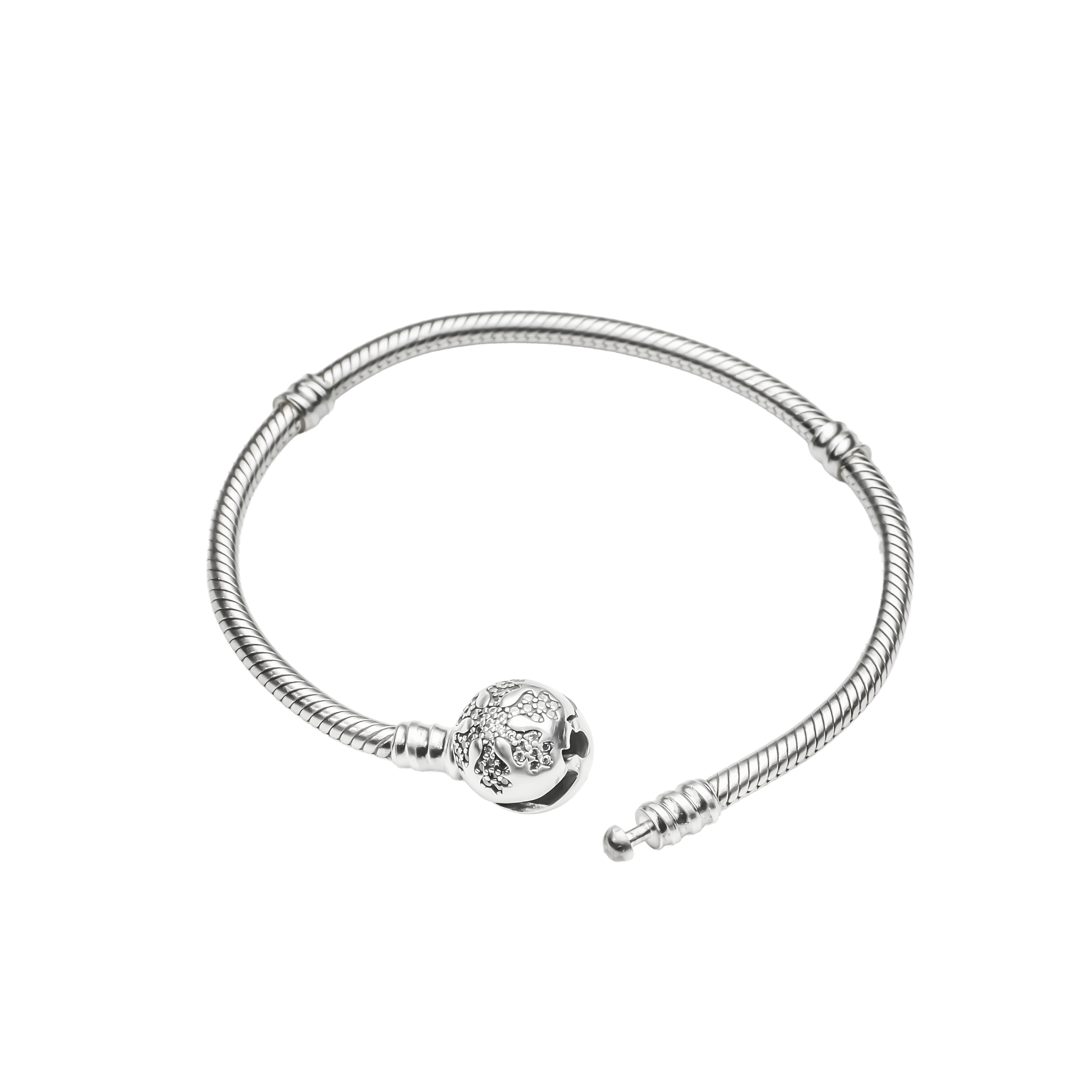 Snake Chain Charm Bracelet | 925 Silver Charm bracelets for Women