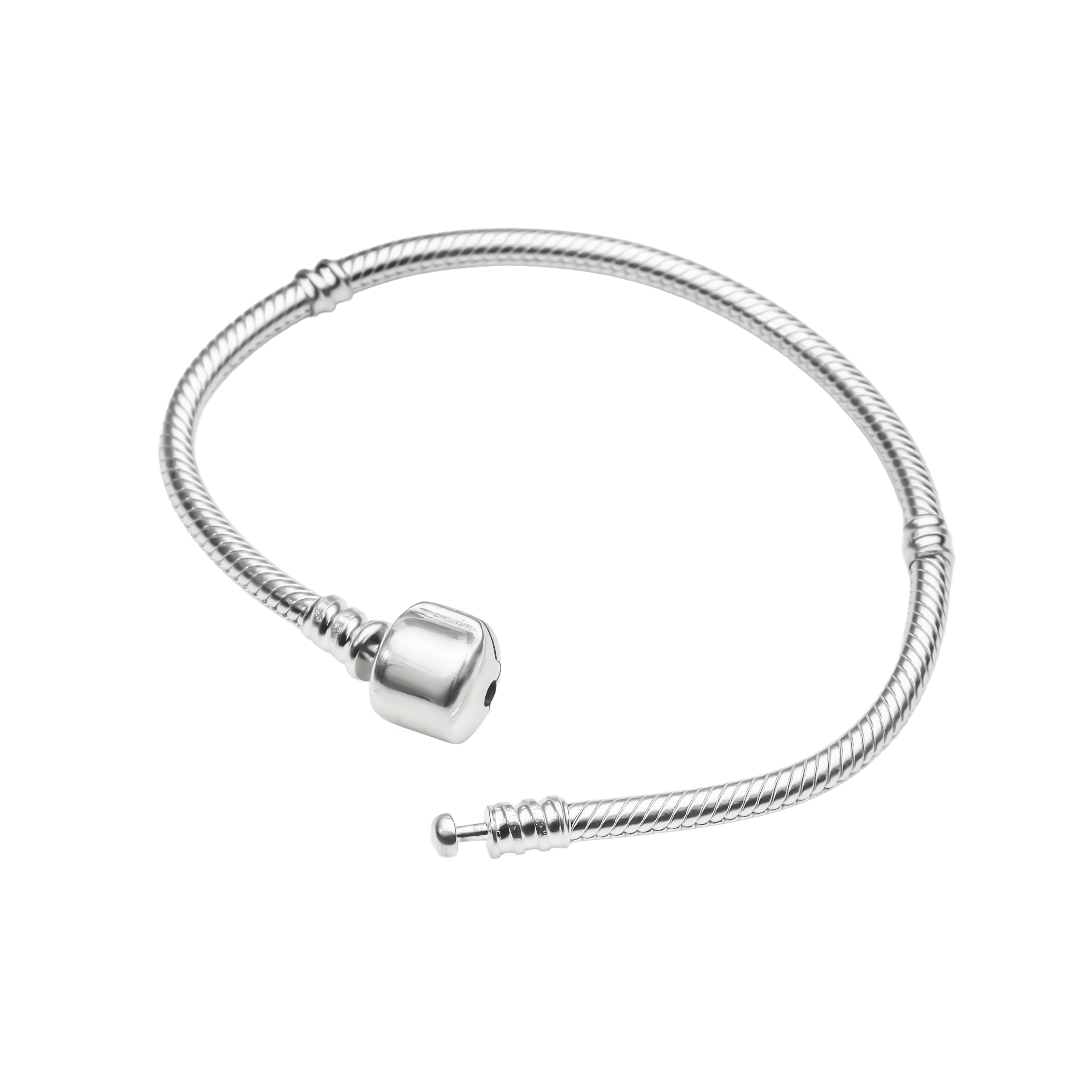 Snake Chain Charm Bracelet | 925 Silver Charm bracelets for Women