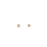 Agnesca Studs | 925 Silver Earrings for Women