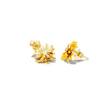 Belinda Studs | 925 Silver Earrings for Women