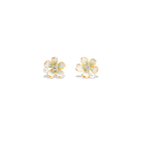 
  Buy Brandi Studs | 925 Silver Earrings for Women - GEN Z Online In India
