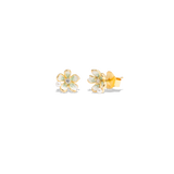 
  Buy Brandi Studs | 925 Silver Earrings for Women - GEN Z Online In India
