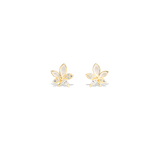 
  Camilla Studs | 925 Silver Earrings for Women - OPRATA

