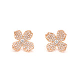 Caterina Studs | Hallmark 925 Silver