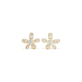 Venice Studs | Hallmark 925 Silver