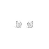 Claretta Studs | 925 Silver Jewellery