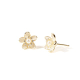 Filide Studs | Hallmark 925 Silver