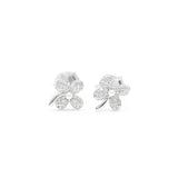 Donna Studs | 925 Silver Earrings for Women