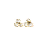 Agnola Studs | 925 Silver Earrings for Women