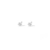 Tersa Studs | 925 Silver Earrings for Women
